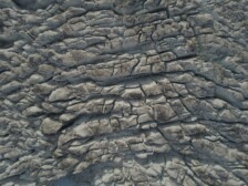 Visita guiada con Cristina Lucas, "Subjects in mirror are closer than they appear"