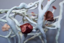 Rebecca Glover: Al borde de lo que no era, yo estaba