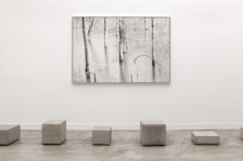 Visitas Guiadas por Ignacio Llamas