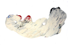 Visita guiada con Rosana Antolí