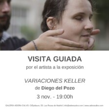 Visita guiada por Diego del Pozo