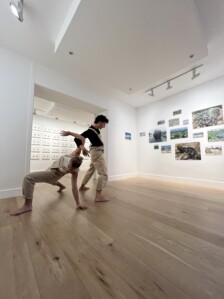 Programa Danza en la galería