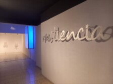 Visita guiada por la artista Maribel Domènech