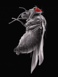 Conservatorio: Che Marchesi, Candela Sotos y Oscar Soriano