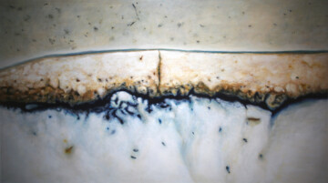 Arqueología del color