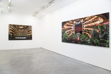 La Razón es una Planta