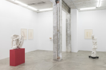 The Swamp of Forever: Origin