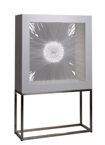 Donde el camino se hace línea