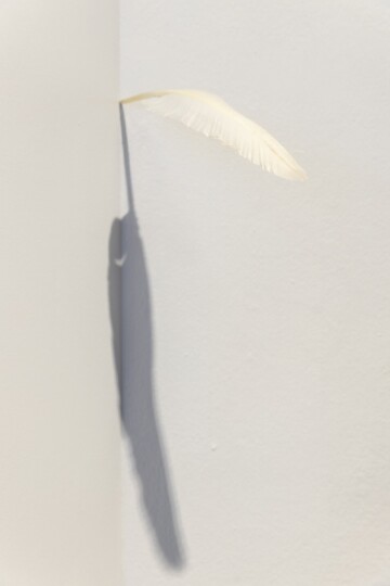 One Thing and Another, and Then Some More