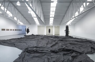 Dancing with the angels