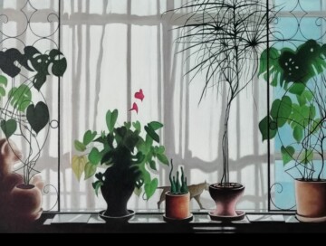 Retorno al rincón de la calma