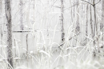 Lo que la luz encubre