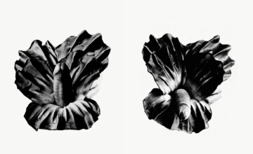 "Barroca triste, barroca alegre" (flores para Juan)