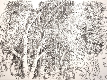 Fritzia Irizar. Chicxulub, estudios de un paisaje.