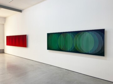 CRUZ-DIEZ. El color como acción