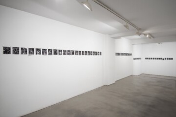 MARE MAGNVM: La llegada