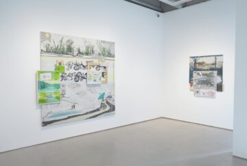 Collages mentales y otros asuntos de la corteza cingulada