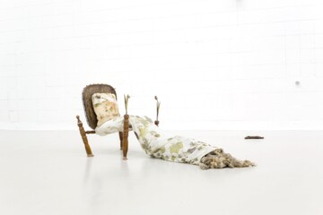 Perderse en los bosques