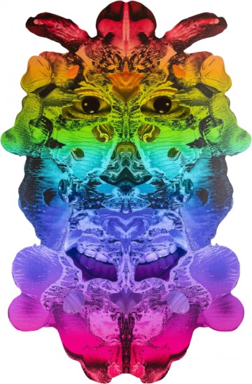 Pareidolia and other problems