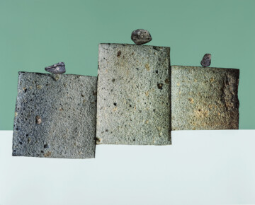 Las piedras están vivas