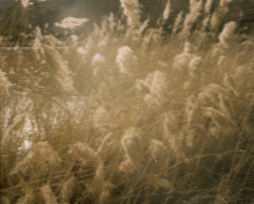 Uxío da Vila "Entonces"