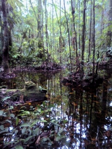 Thororo nasipe re u no wawe wawe