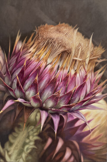 Indagaciones botánicas