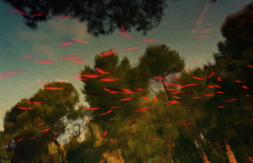 Sintaxis fotográfica