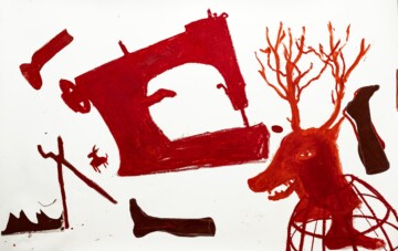 Are Angels Trumpets Poisonous?