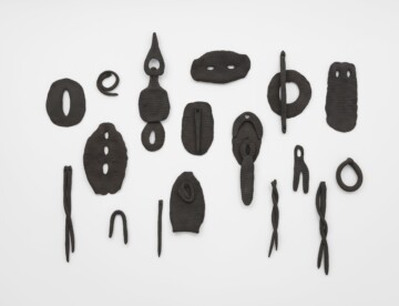 Manto. Lucia Pizzani en diálogo con Olga de Amaral