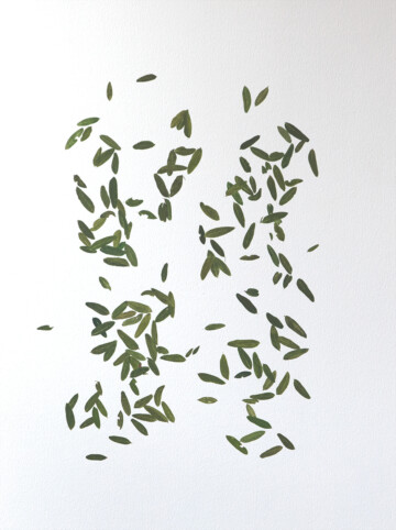 2. Pretexto. "En estas cuatro huellas no caben mis zapatos"