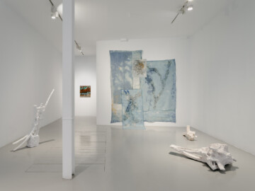 Old sky, old dirt, new grass