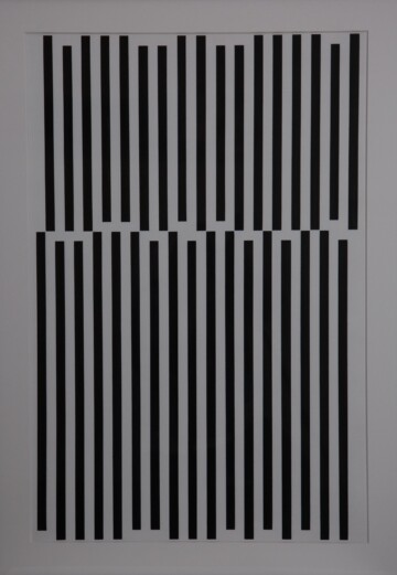 ASINS/BERTRAND Variaciones Geométricas