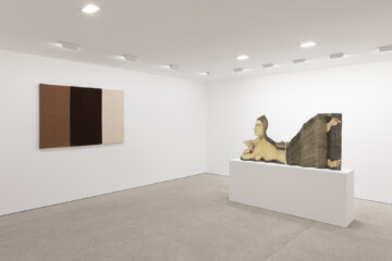 Tu pelo es mi bandera