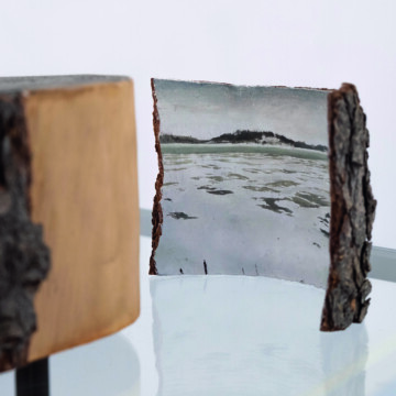 La voluntad sostenida. (Una mirada al nuevo dibujo en España)