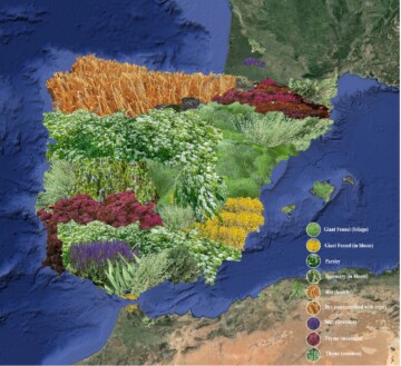 Growing Histories: Ground Dispersions