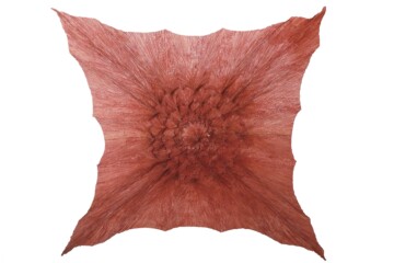 Geometría, naturalmente…