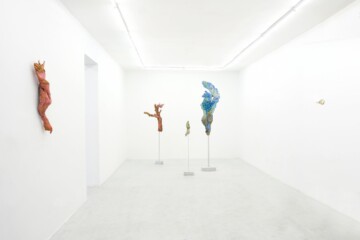 Margaux Compte-Mergier “Antes el después”