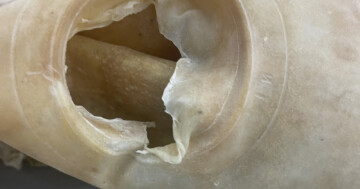 misty floors wet skies