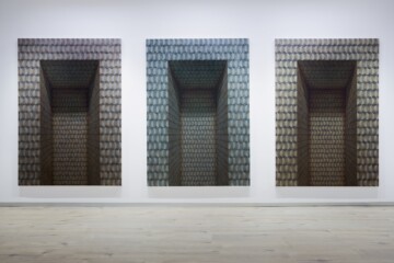 Los espacios del pánico (Estudios superficiales sobre el vacío y el color)