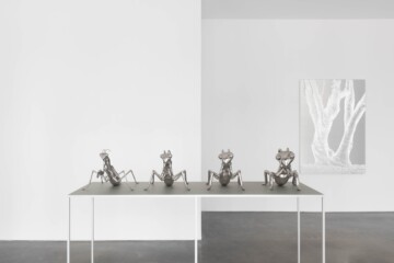 La semejanza por contacto