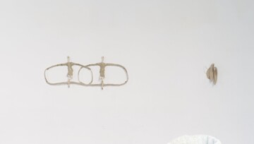 Doble sueño de primavera (descendiente)