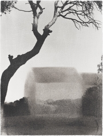 Viajes de ida y vuelta