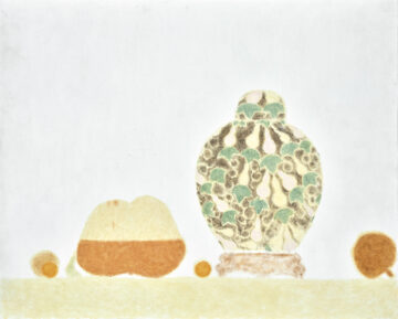 Juan José Aquerreta. Naturalezas silentes.