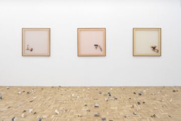 Del marfil al color hígado