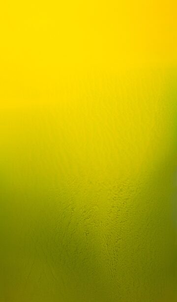 Exposición Colectiva