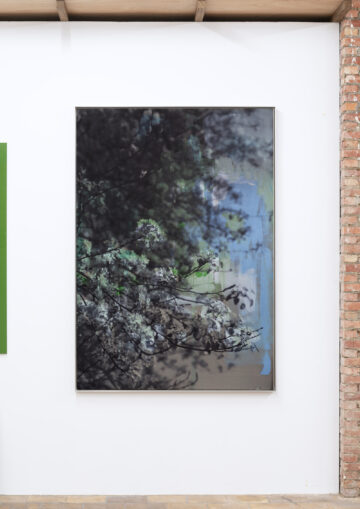 El Tiempo Suspendido