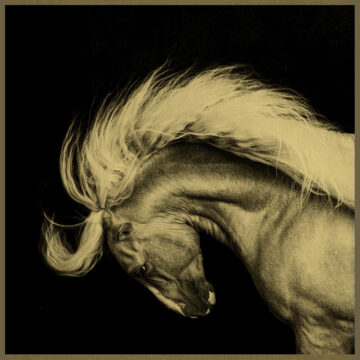 ÁUREA. Nada áureo puede permanecer