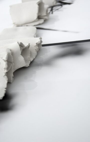 Comprender no se hace con la razón