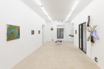 Pink specks of dust in a garden with no sun